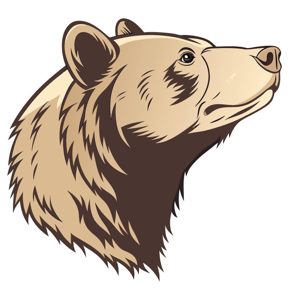 Head of brown bear illustration vector