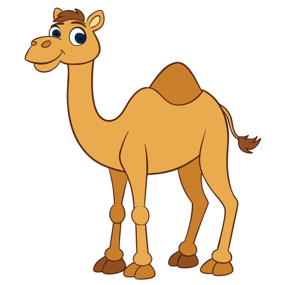 Cartoon camel on white background vector