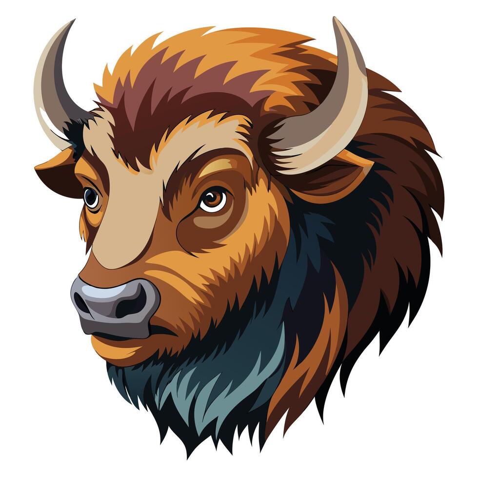 illustration of bison head vector