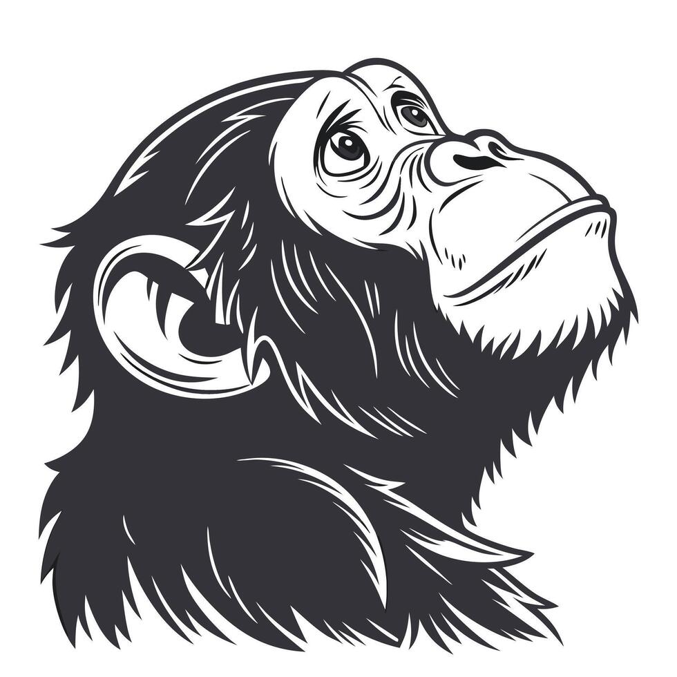 illustration of a chimpanzee head vector