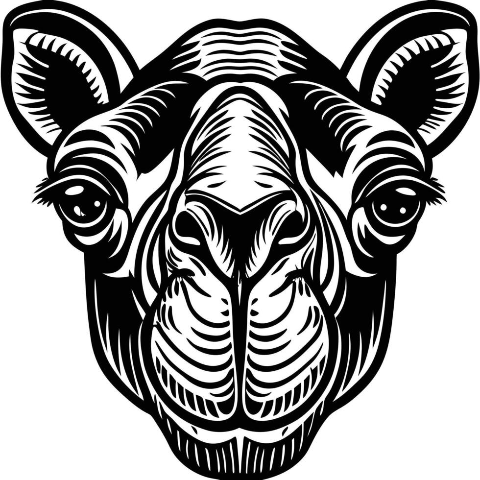 A camel head in a woodcut style vector