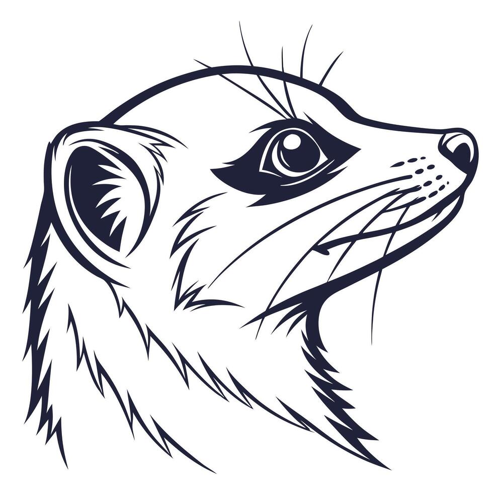 Ferret head, black and white illustration vector