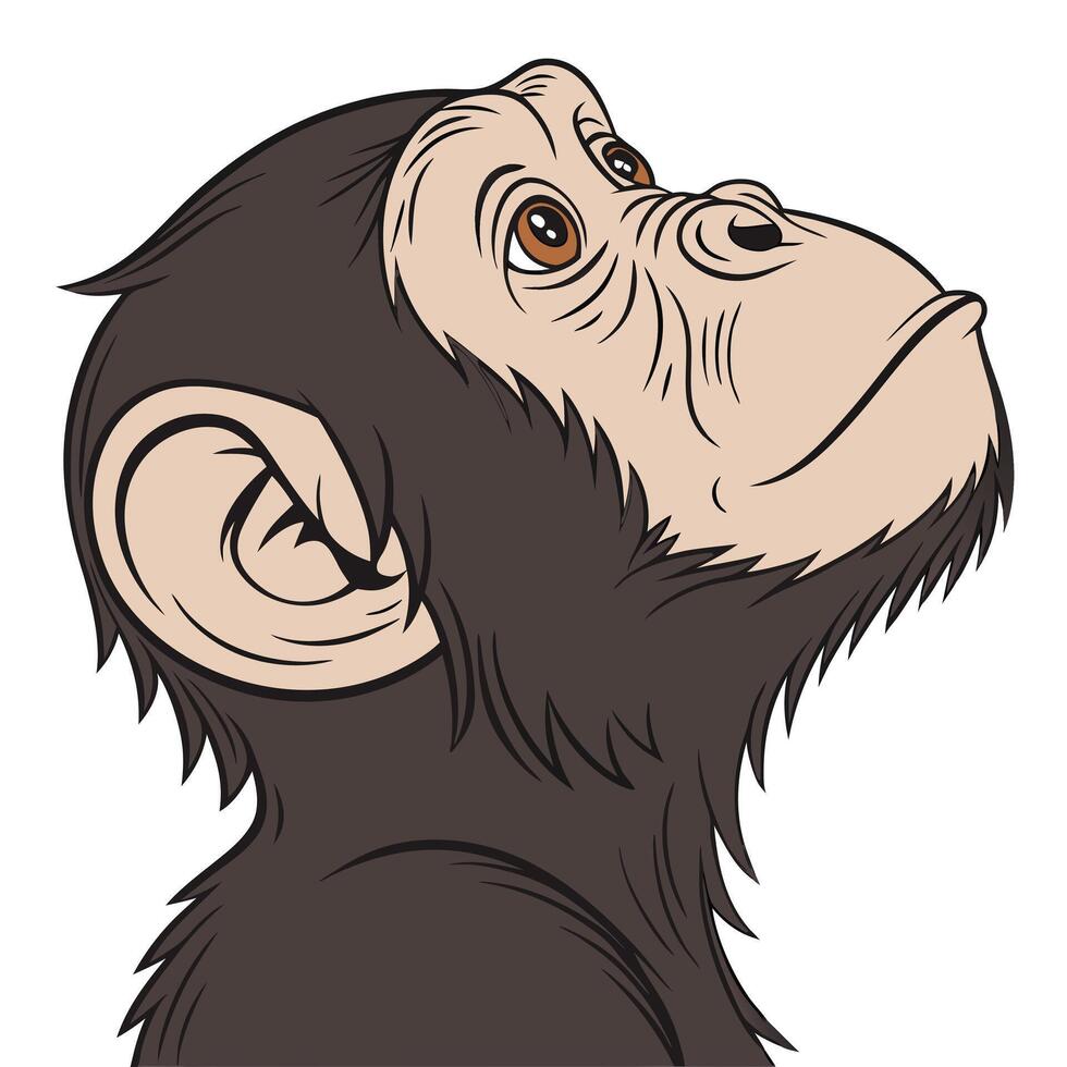 A cartoon monkey head with big eyes looking up vector