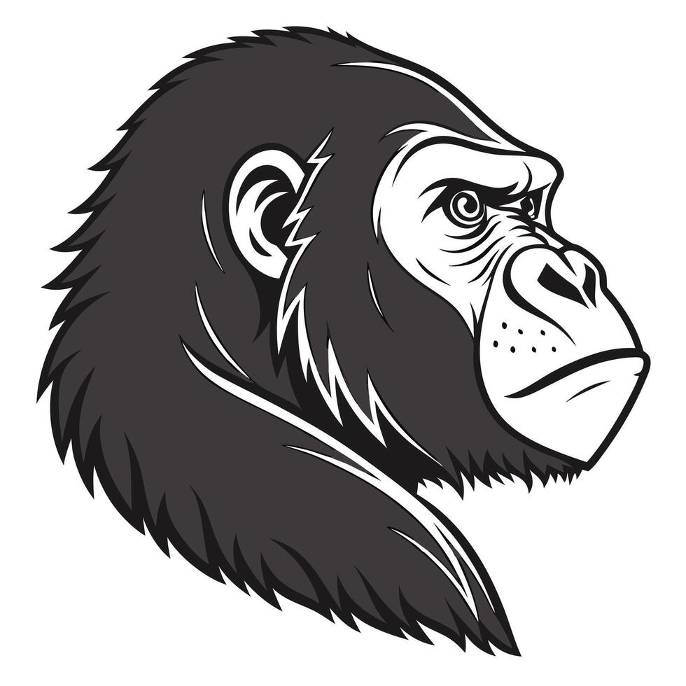 illustration of gorilla head vector