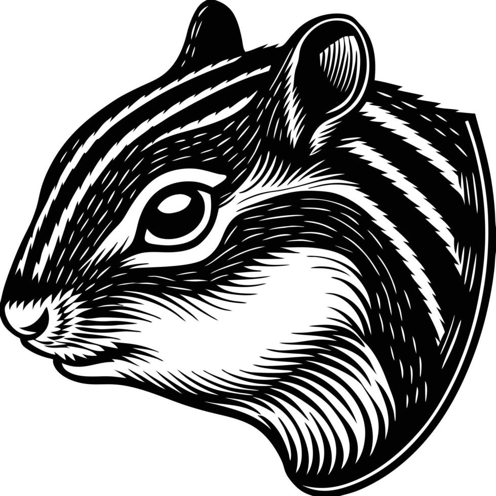 A chipmunk head in a woodcut style vector