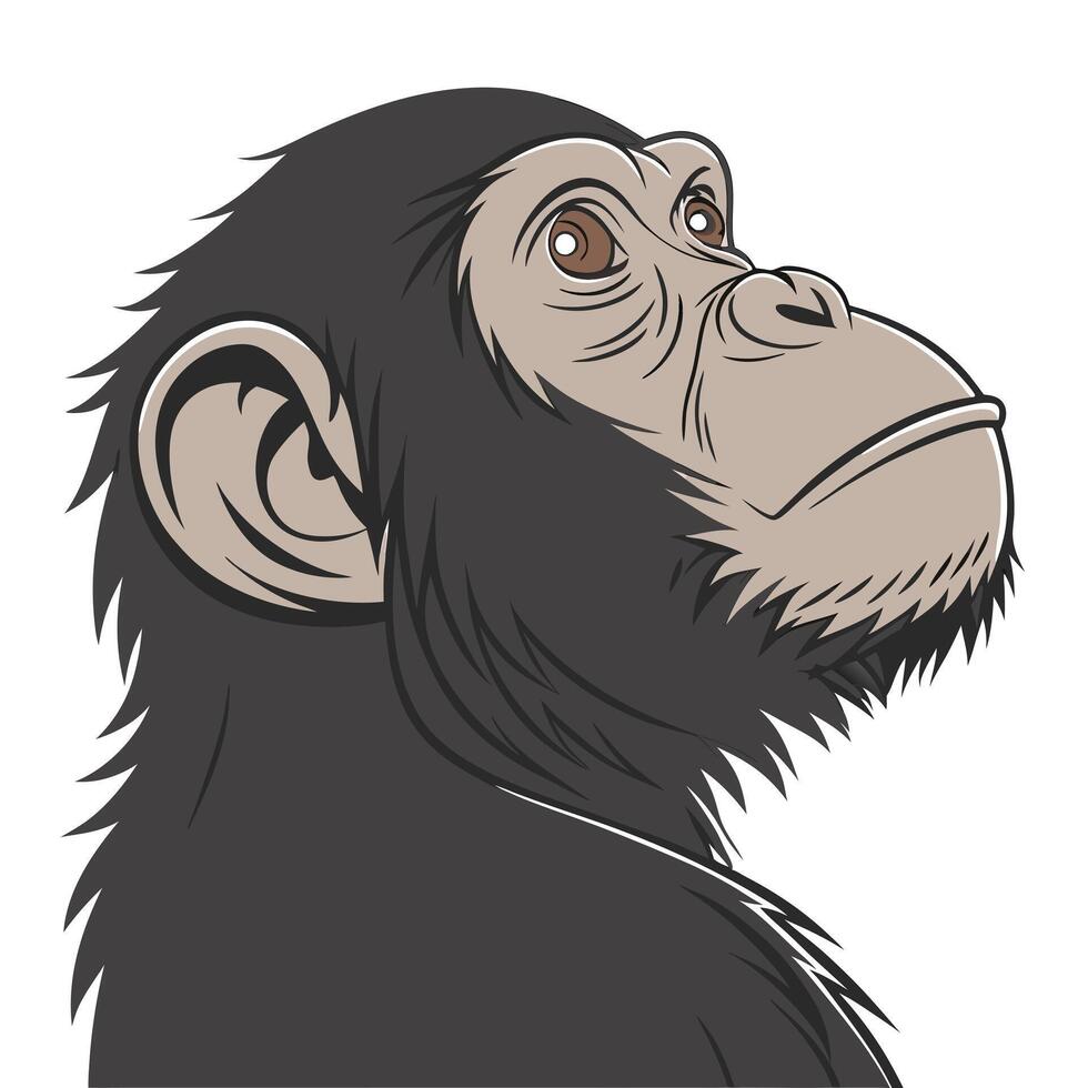 A chimpanzee head with brown eyes and a long neck vector