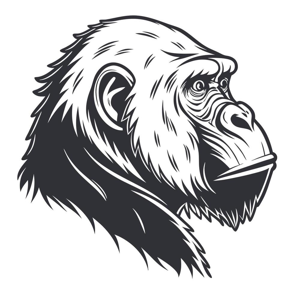 illustration of a gorilla head vector