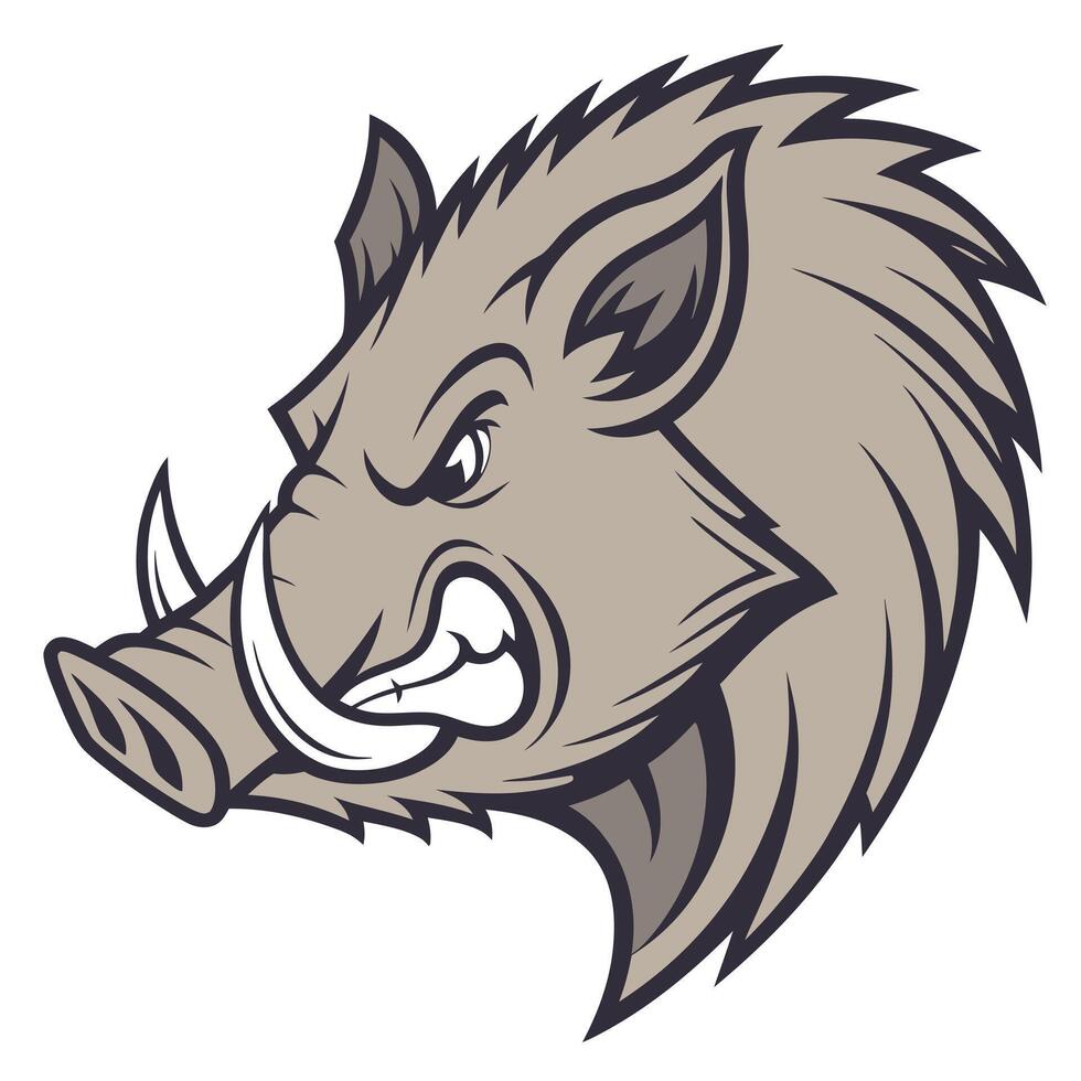Wild boar head mascot head illustration vector
