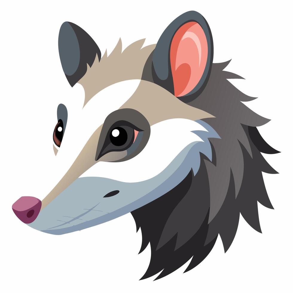 Opossum Head Cartoon Illustration vector