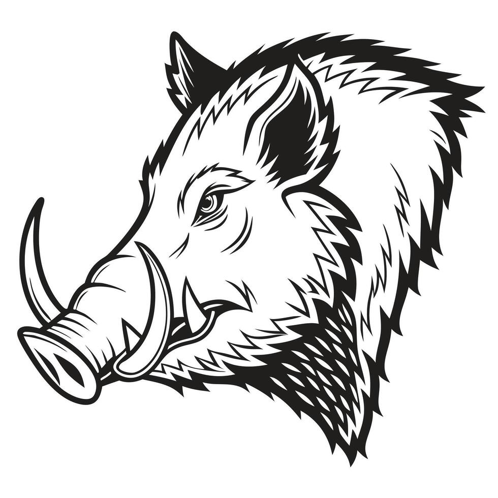 Boar Head Illustration vector
