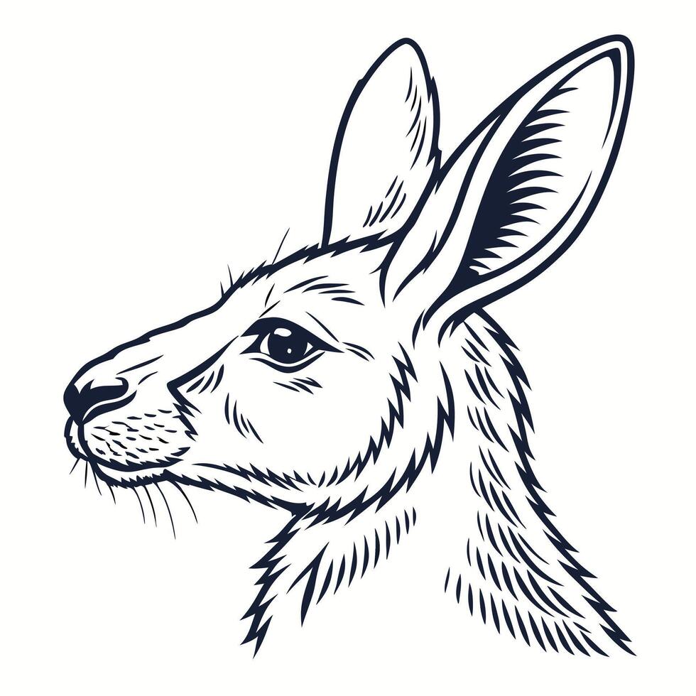 A black and white drawing of a kangaroo vector