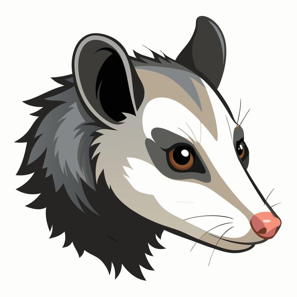 An opossum head on a white background vector