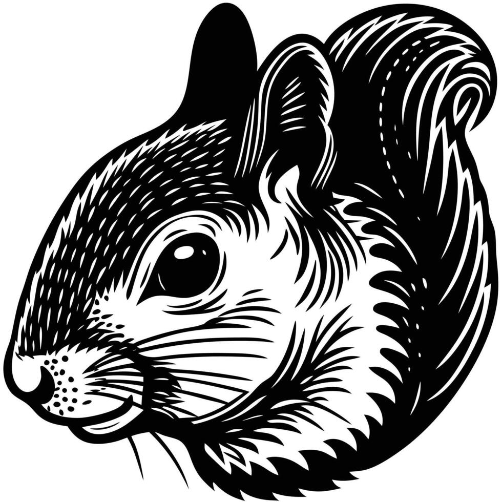 Squirrel head illustration vector