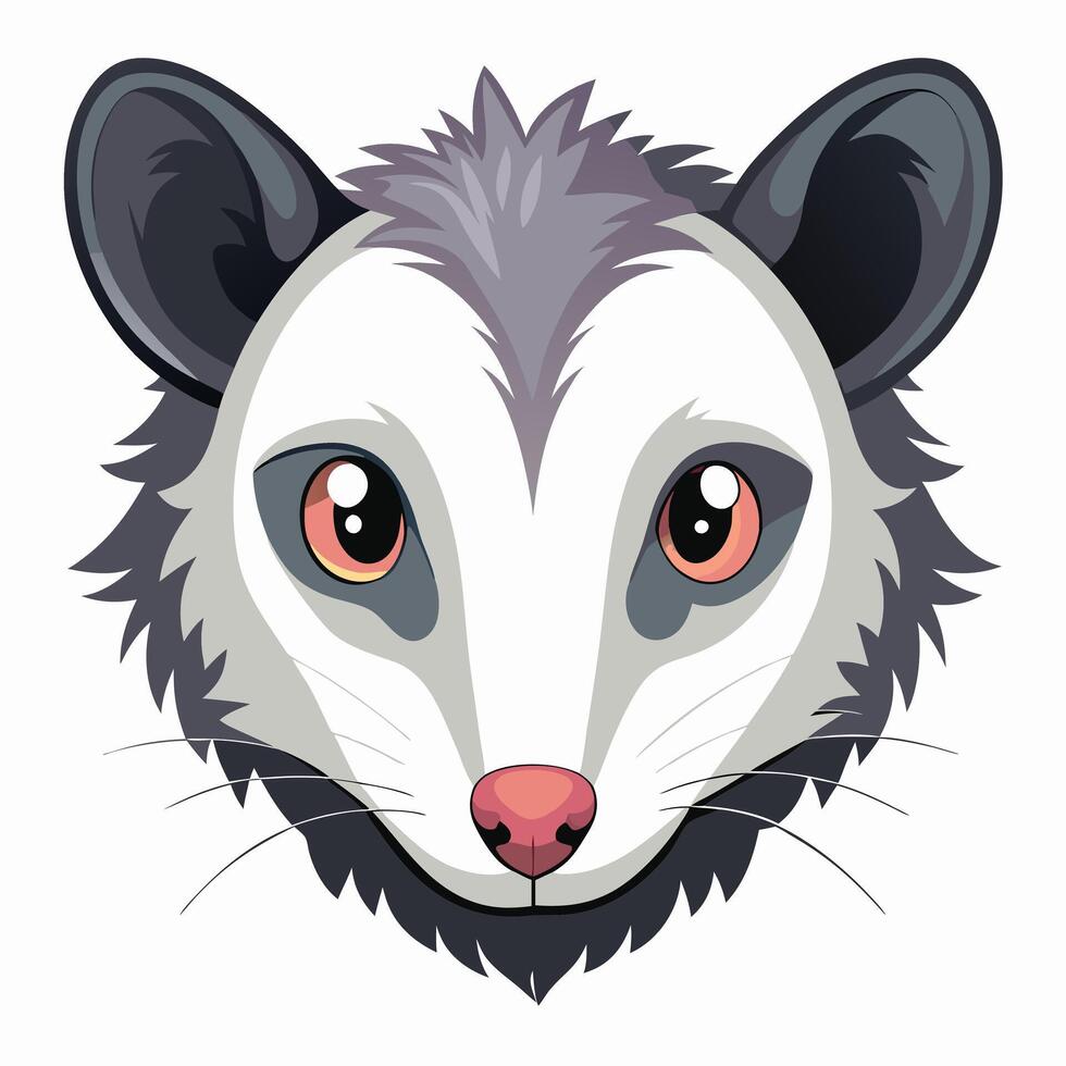Cute Possum Face Illustration vector