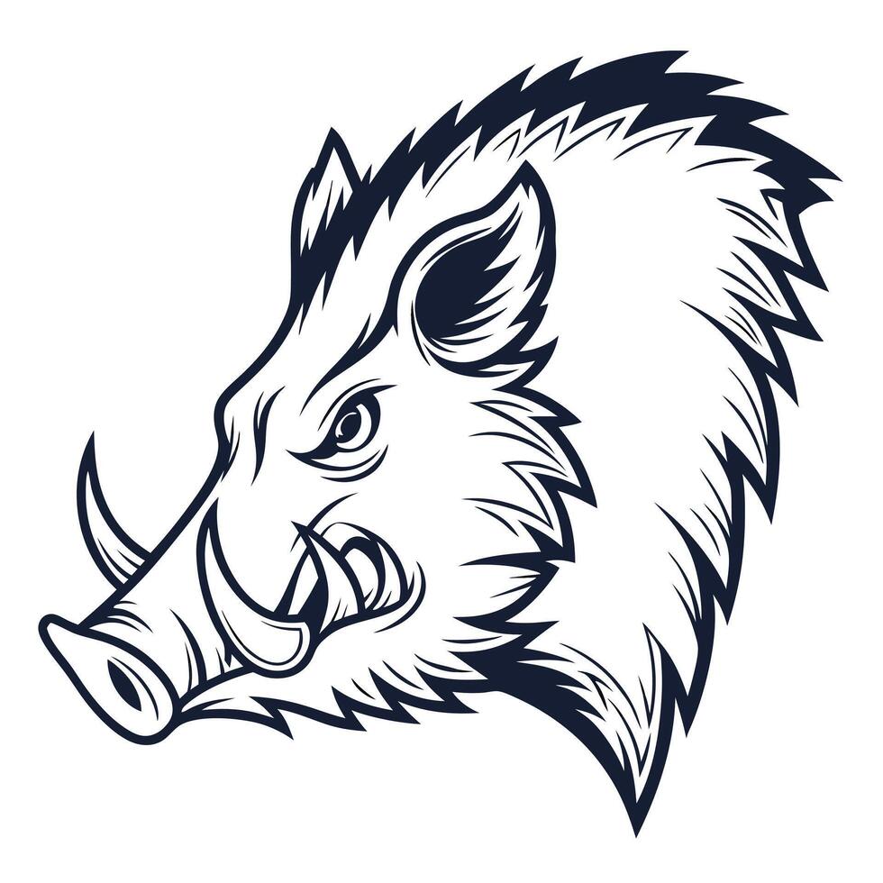 Wild boar head illustration vector