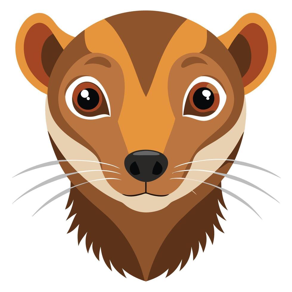 A cartoon brown weasel head on a white background vector