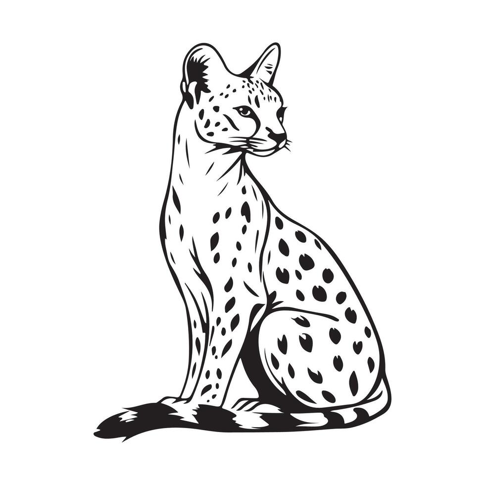 Serval animal Image isolated on white background vector