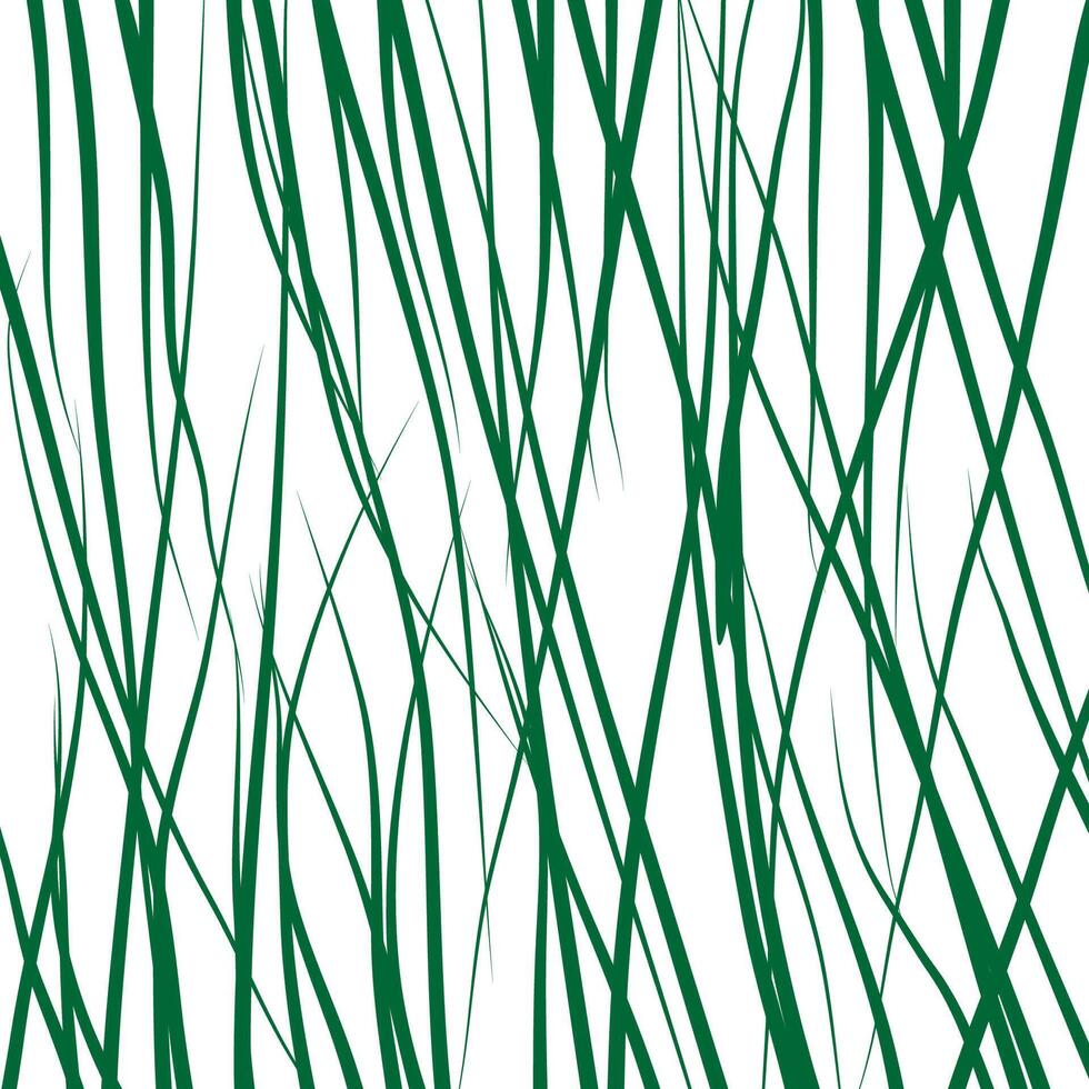 Abstract line of green grass. vector