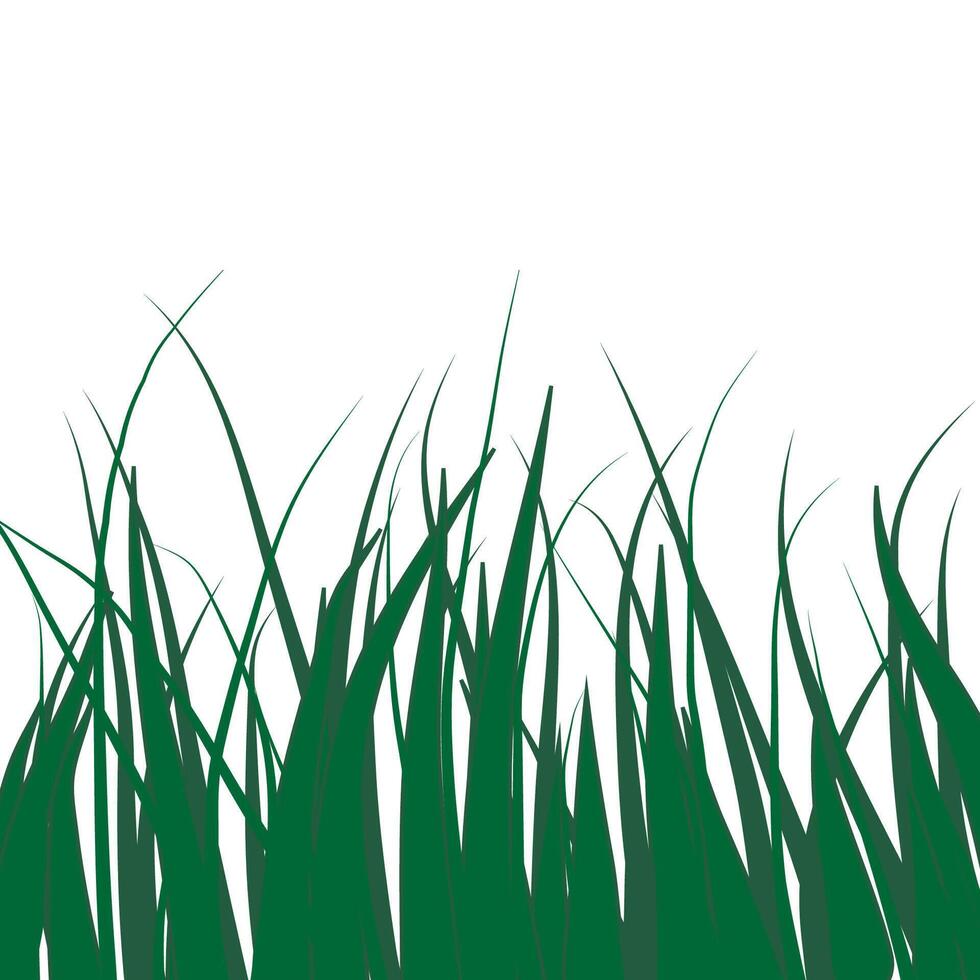 Geen grass on white background.pattern. vector