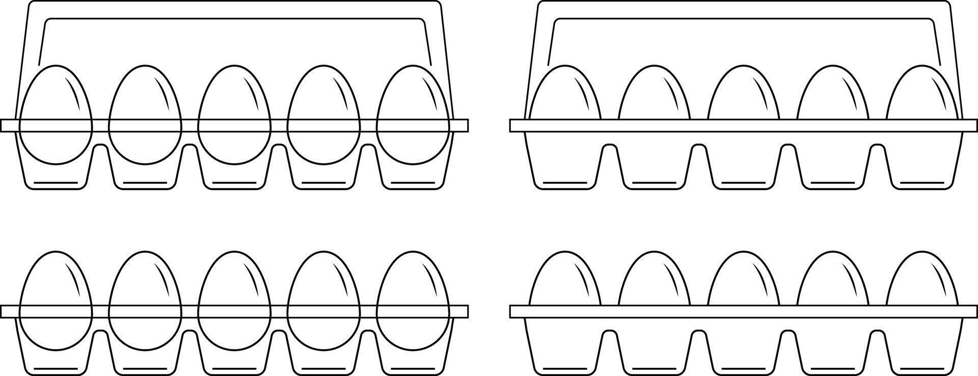Chicken eggs in egg trays. Outline style. vector