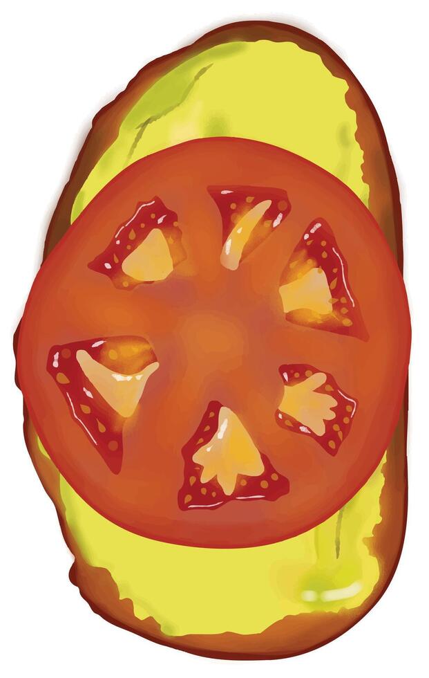 Avocado toast with fried egg topping vector