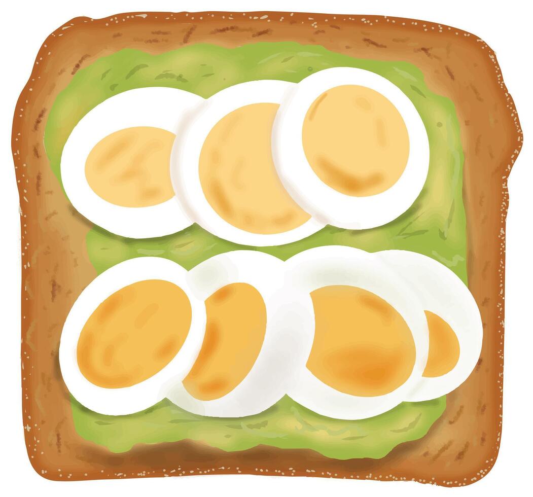 Avocado toast with boiled egg topping vector