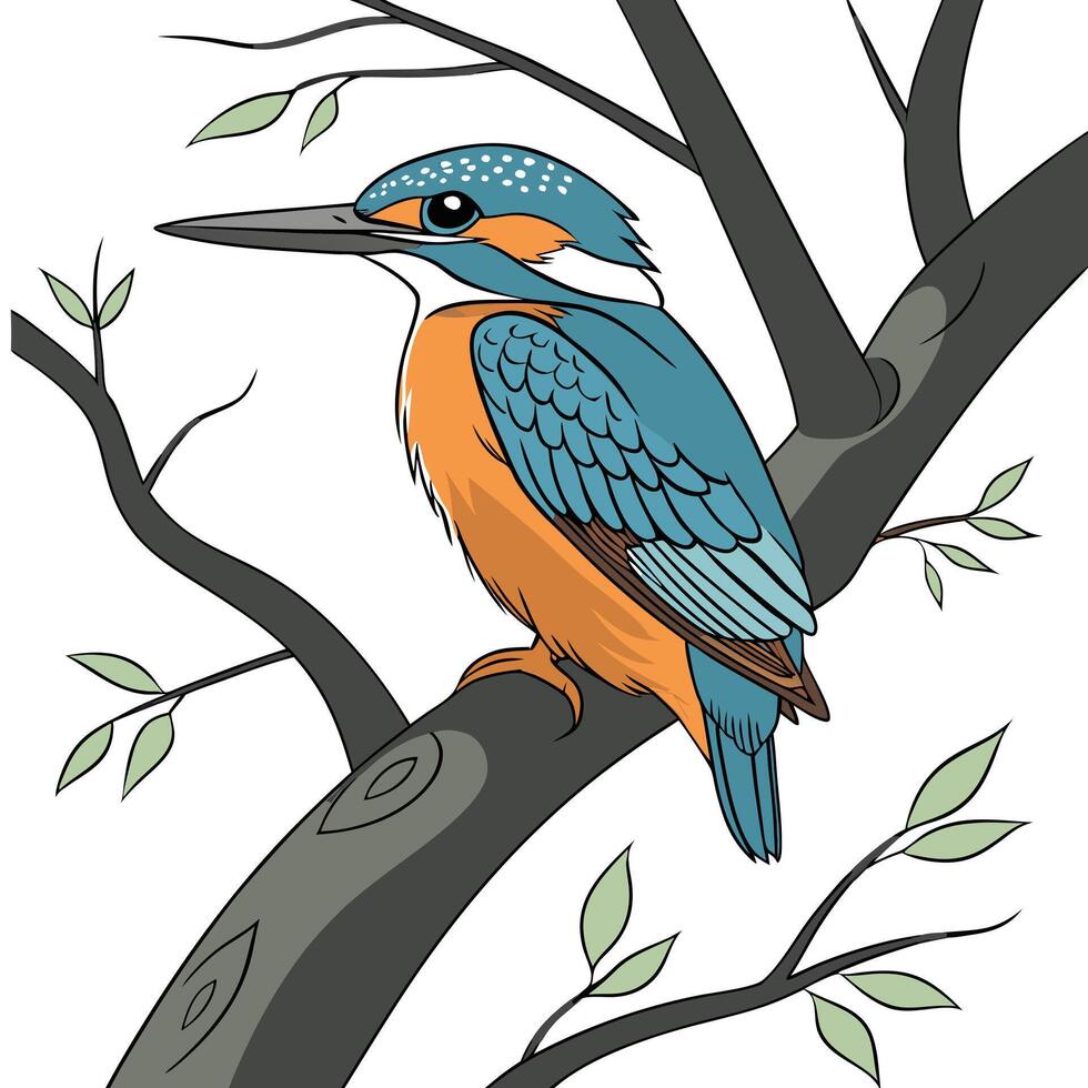 kingfisher bird on tree branch vector
