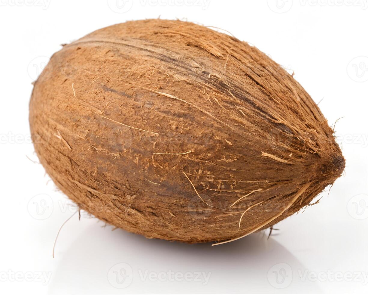 Whole Coconut Isolated on White Background. photo