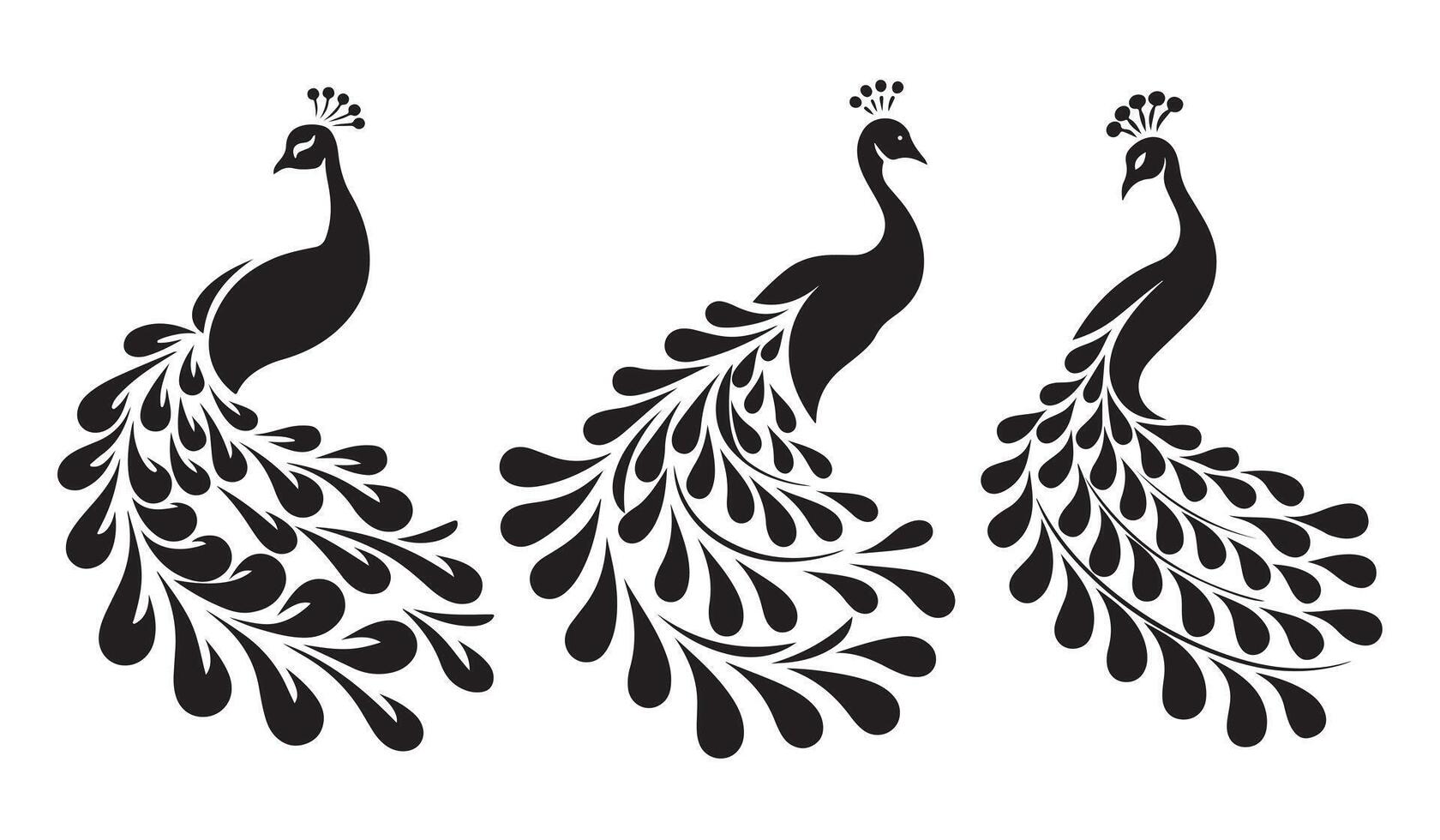 Elegant Black and White Peacock Silhouettes vector