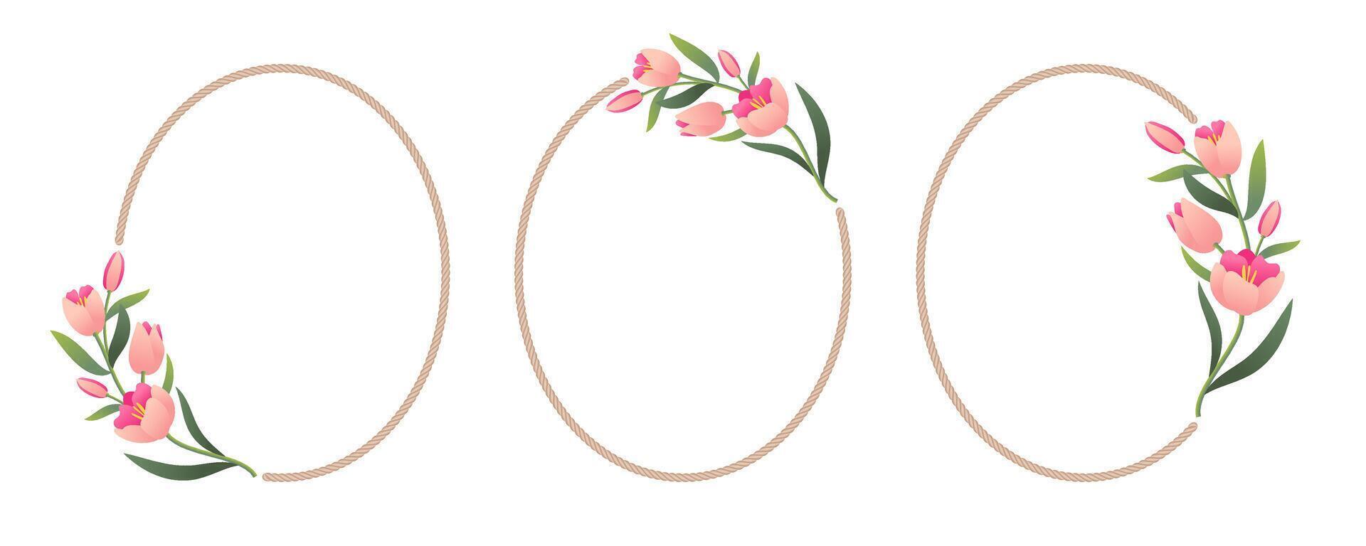 Minimalist tulips and rope frame. Elegant floral oval borders template set for wedding, cards, invitations, prints and more. vector