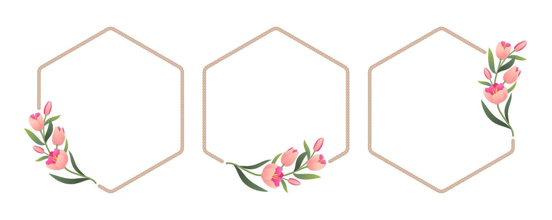Minimalist tulips and rope frame. Elegant floral hexagon borders template set for wedding, cards, invitations, prints and more. vector