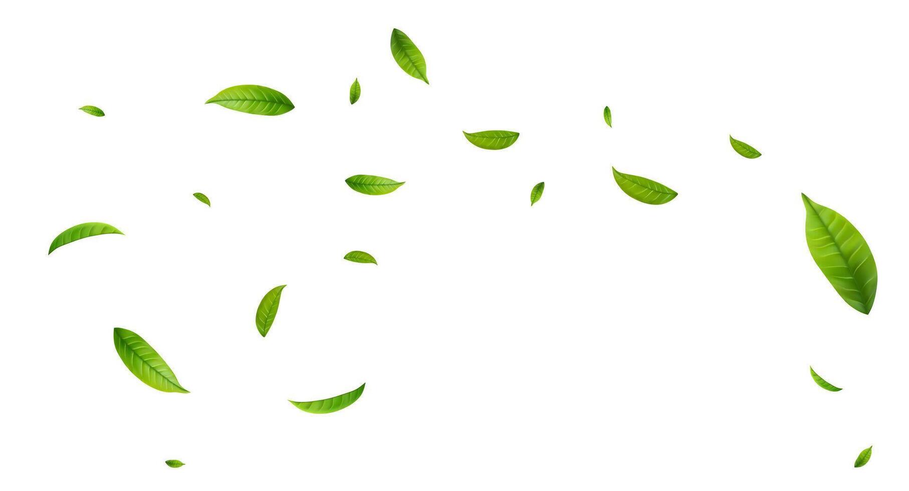 Green Floating Leaves Flying vector