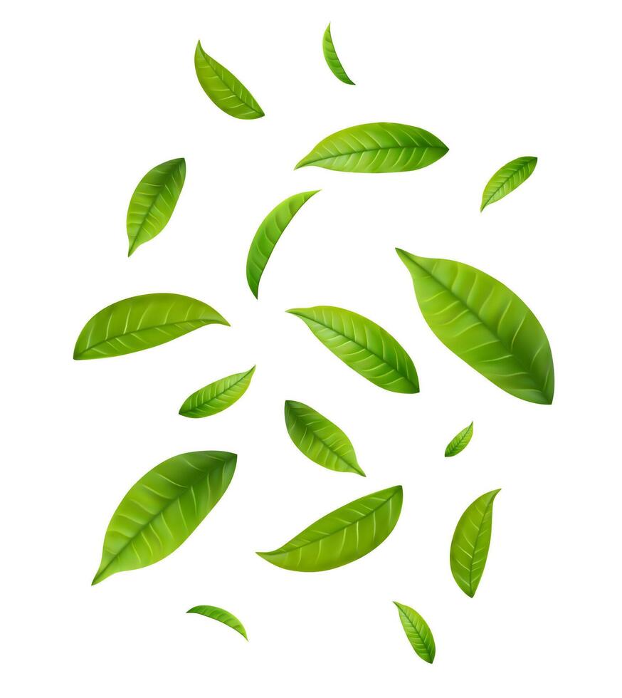 Green fly Leaves vector