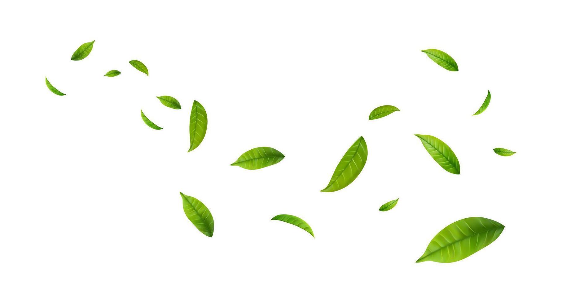 Green Floating Leaves . eco, organic design element. vector