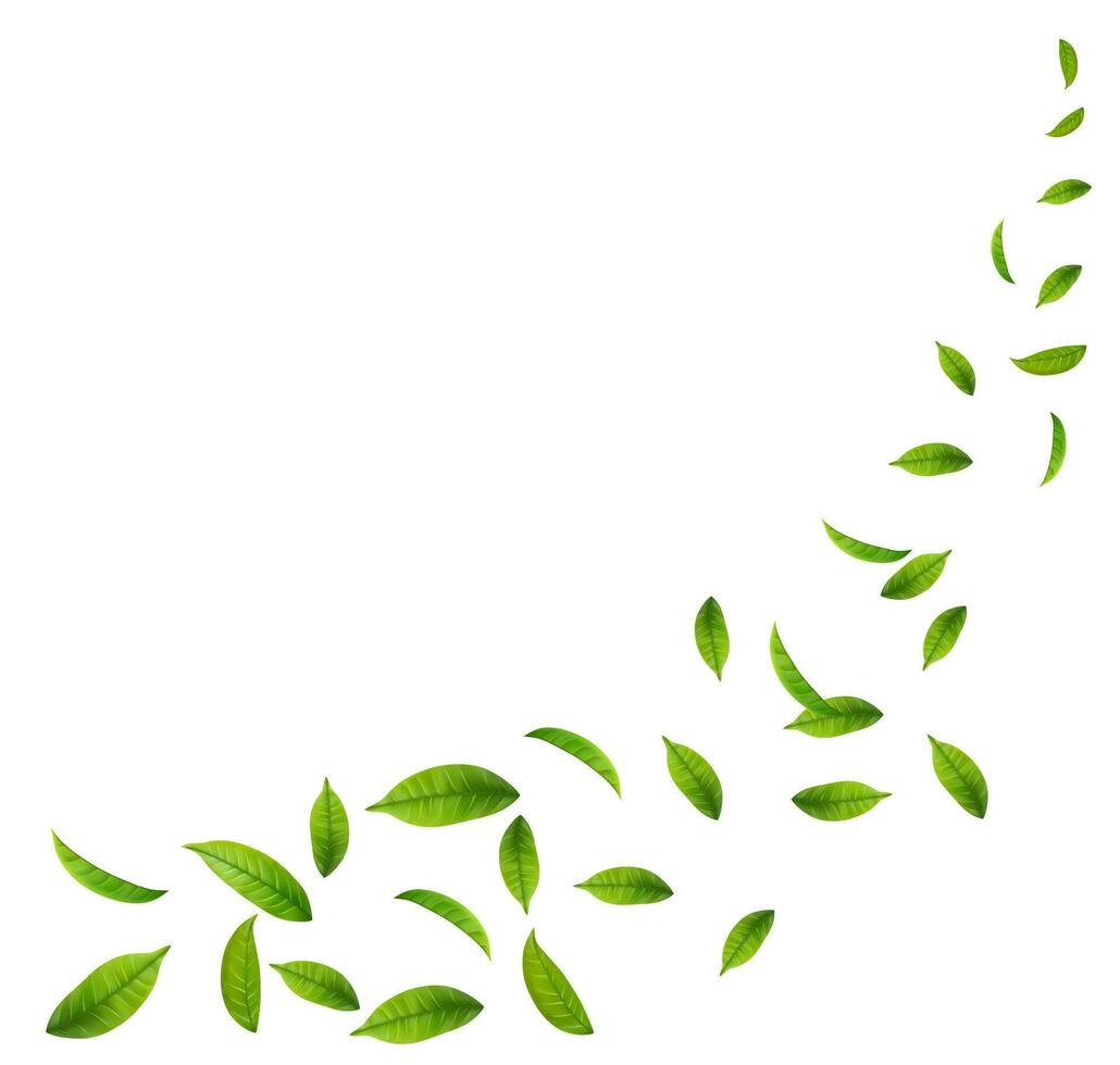 Green Floating Leaves Flying foliage ornament. eco, organic design element. vector