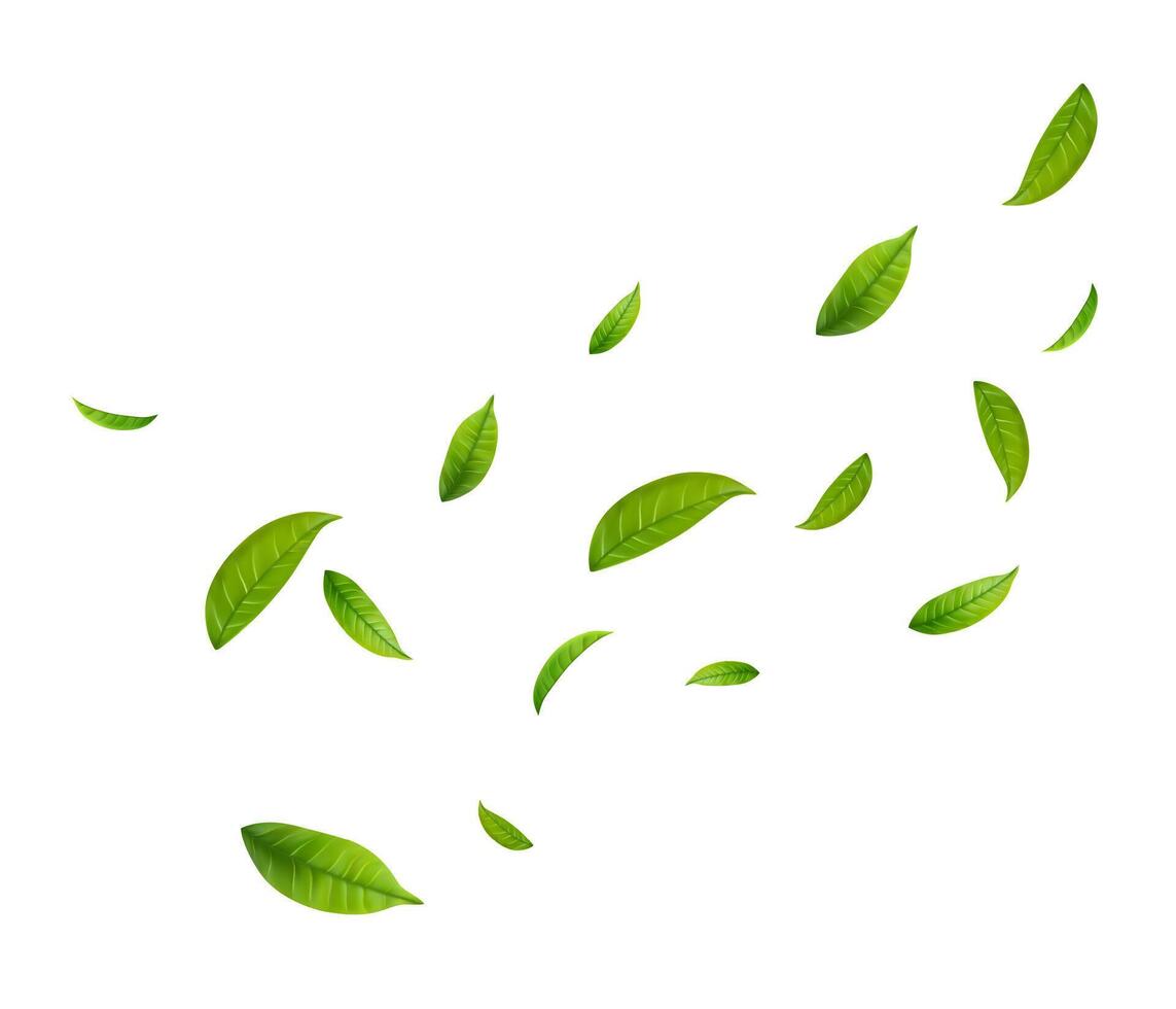 Green Floating Leaves Flying ornament vector