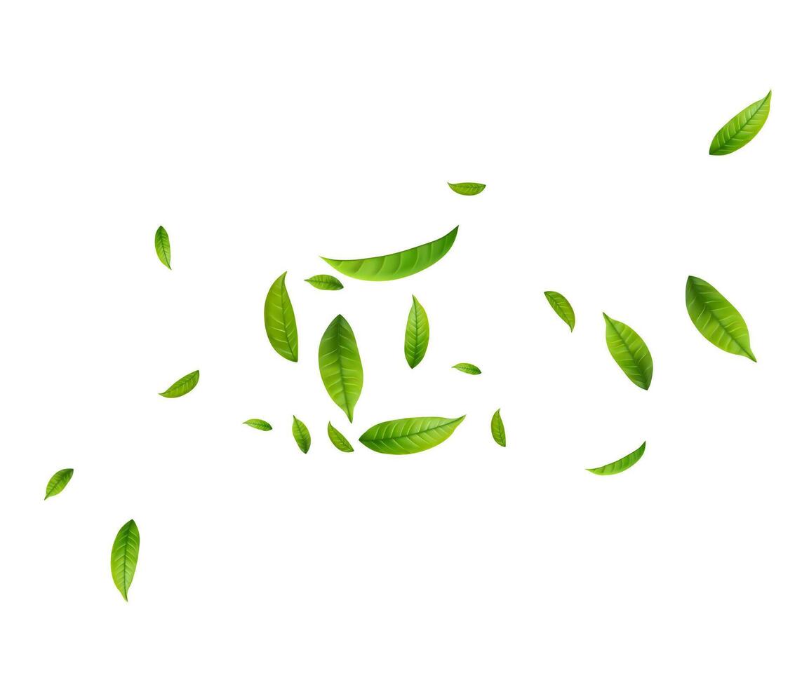 Green Floating Leaves Flying foliage ornament. Green Floating Leaves vector