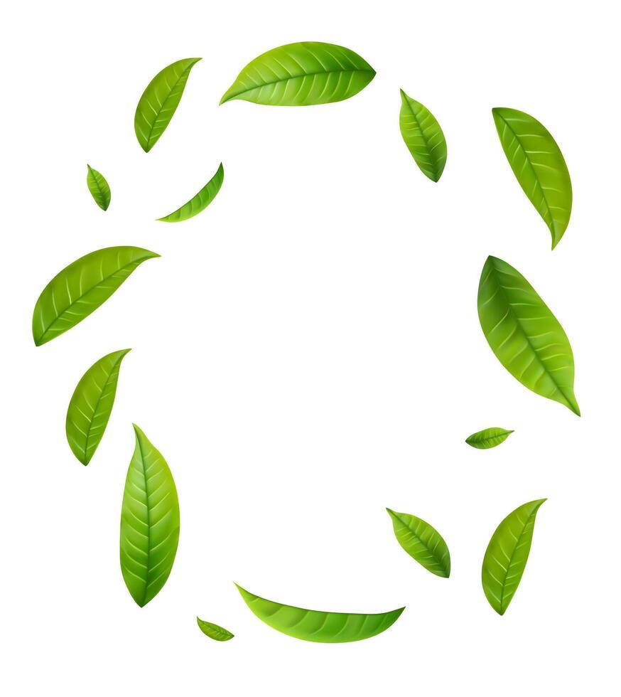 Green Floating Leaves. vector
