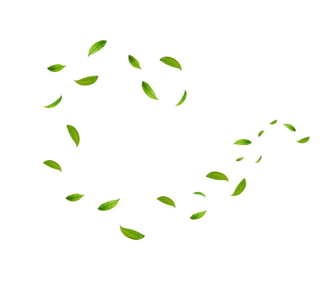 Green Floating Leaves . Vegan, eco, organic design element. vector
