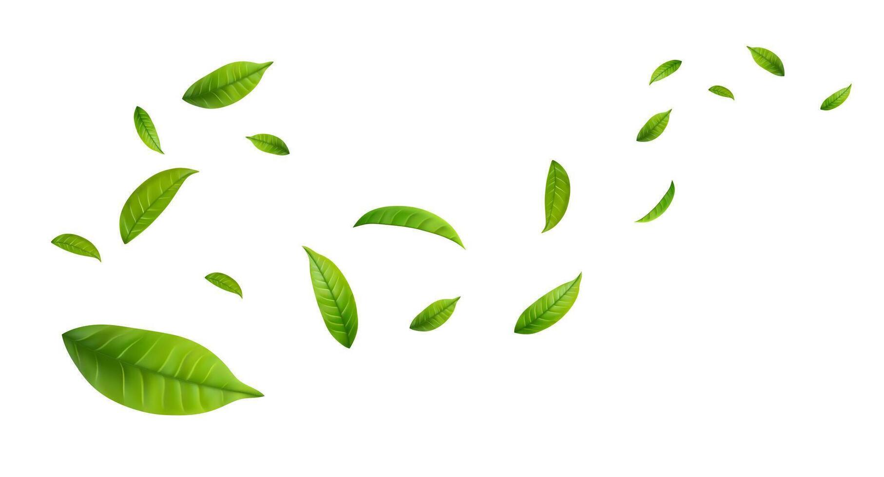 Leaves Green Floating vector