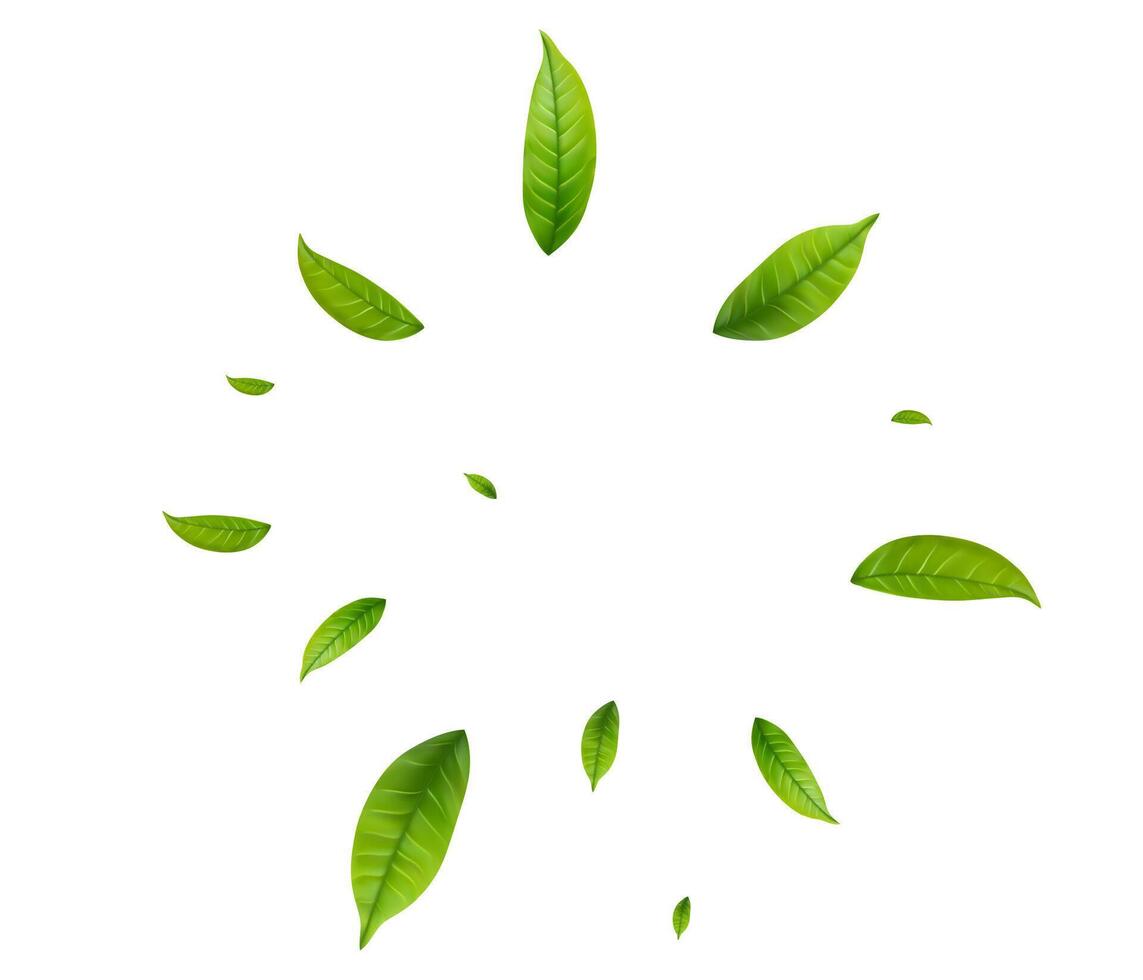 Green Floating Leaves Flying foliage ornament. Vegan, organic design element. vector