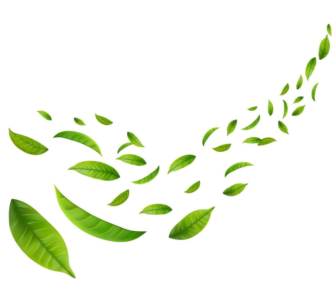 Green Floating Leaves Flying foliage ornament. Vegan, eco, organic design element. vector
