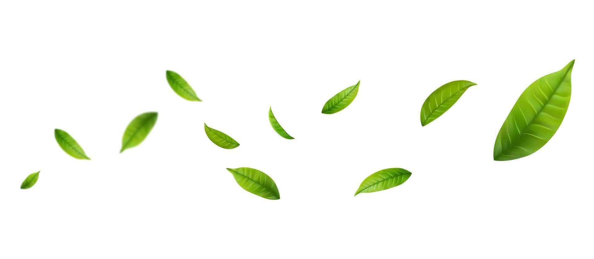 Green Floating Leaves Flying foliage ornament. Vegan, eco, design element vector