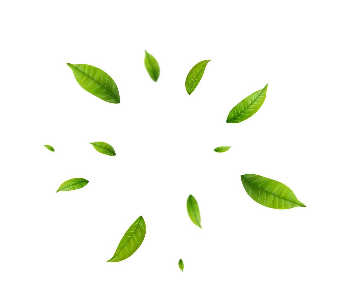 Green Floating Leaves Flying foliage ornament. eco, organic design element vector