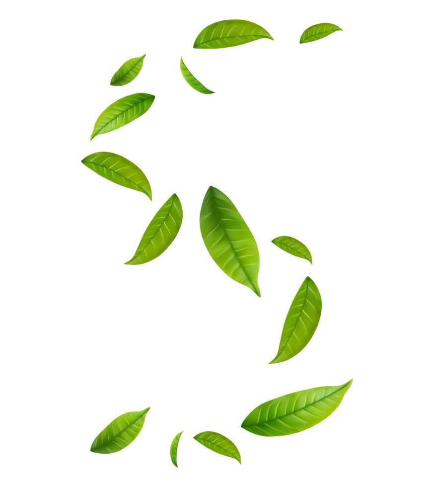 Green Floating Leaves on white background vector