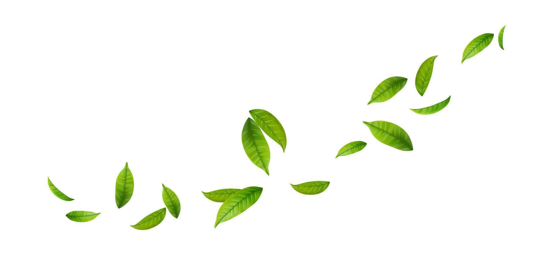 Green Floating Leaves Flying foliage ornament. Vegan, organic design element vector