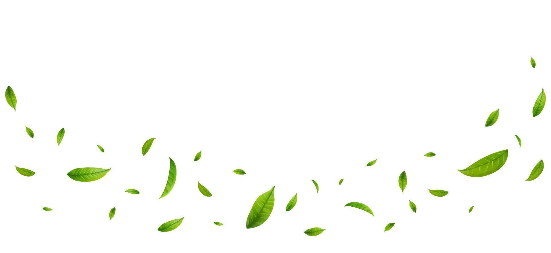 Green Floating Leaves. Green Floating Leaves Flying foliage ornament. vector