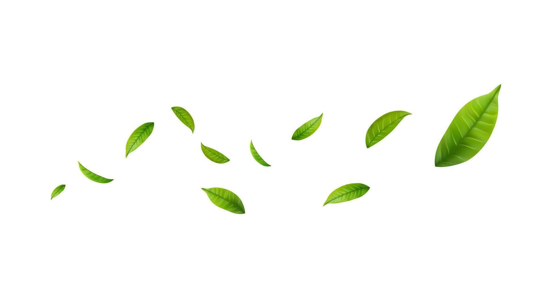 Green Floating Leaves. Vegan, eco design element. vector