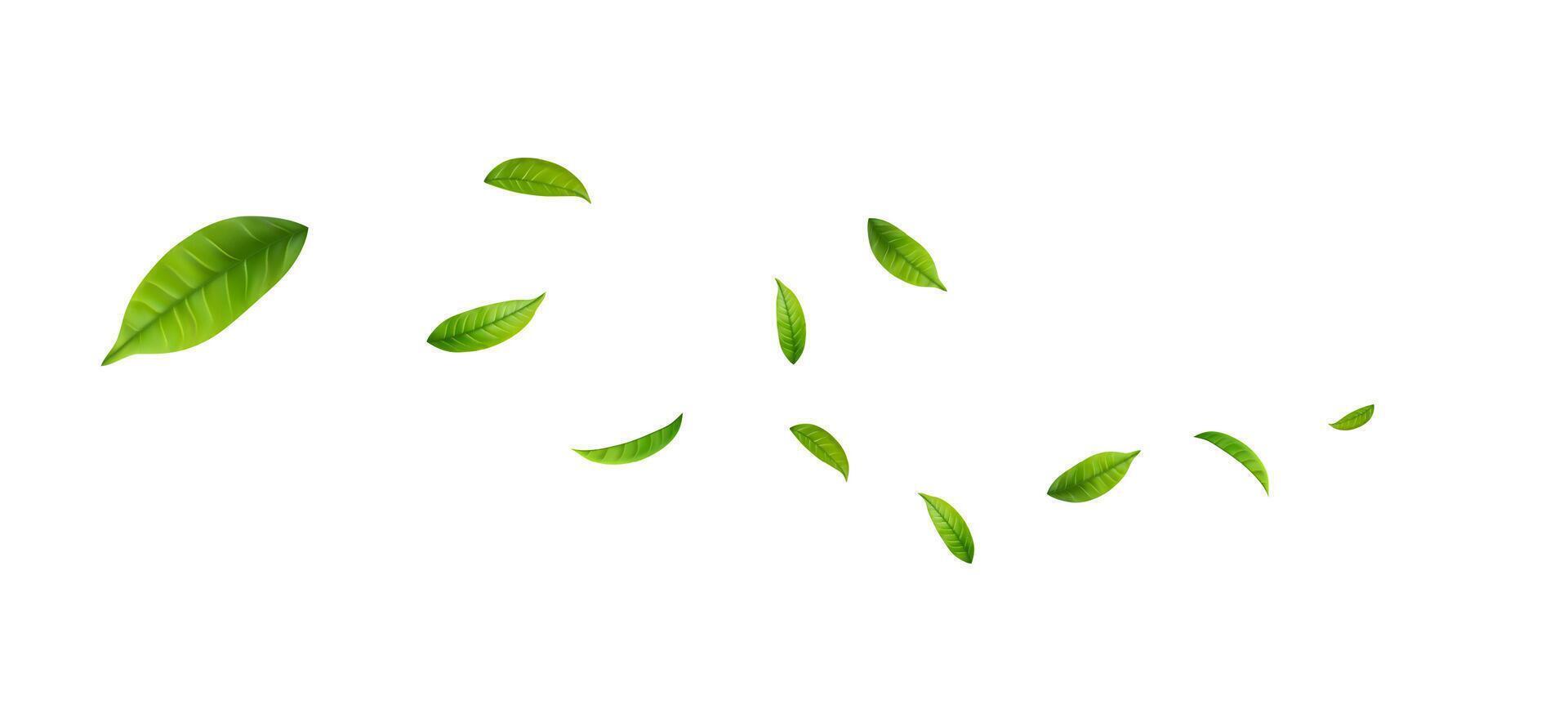 Green Floating Leaves Flying foliage ornament. Vegan, eco, design element. vector