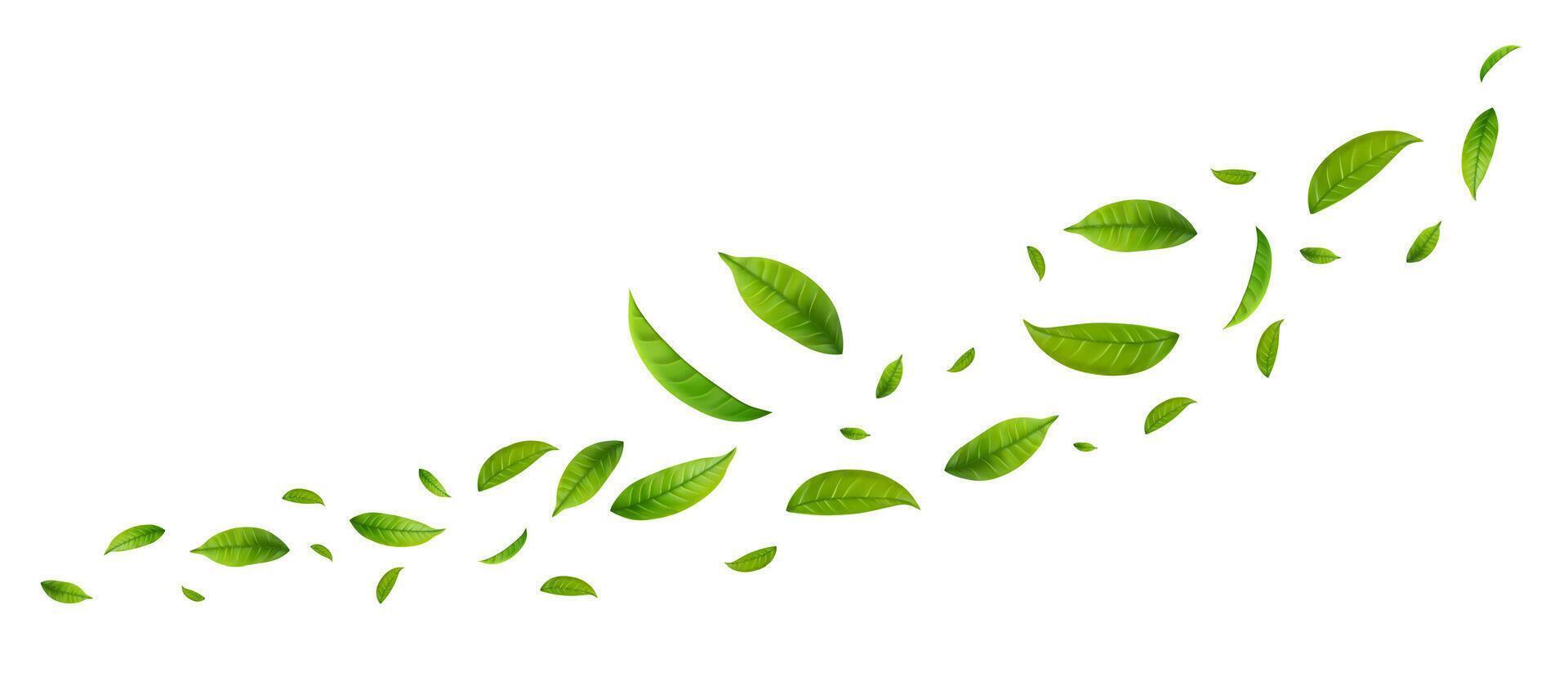 Green Floating Leaves Flying foliage ornament. vector